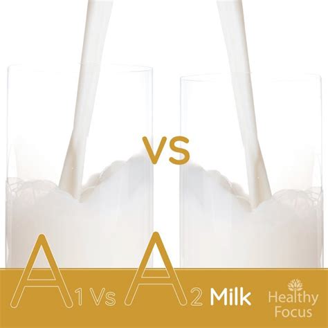 A1 Vs A2 Milk - Healthy Focus