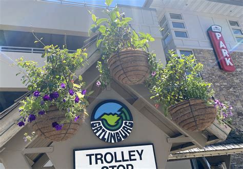 gatlinburg tree houses 1