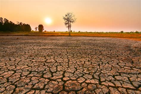 Brace For Heat El Nino To Come Back With Record Heat Un Warns Daily Sabah