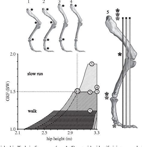 Figure 1 From On The Inference Of Function From Structure Using