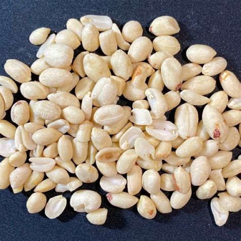 Jual Kacang Tanah Kupas Shopee Indonesia