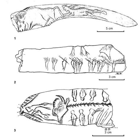 1.Skull of Bison priscus (1) and Bos primigenius (2). a. frontal view ...