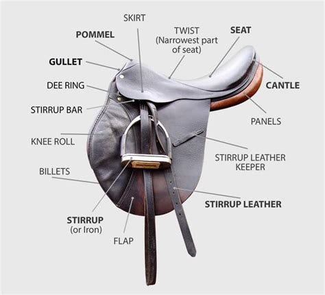 Diagram Of English Saddle