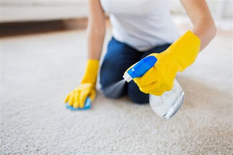 Eco Friendly Carpet Cleaning Tips Mona Cleaning