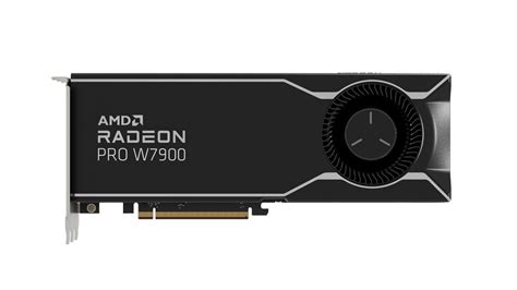 AMD Radeon Pro W7900 gráfica profesional con DisplayPort 2 1