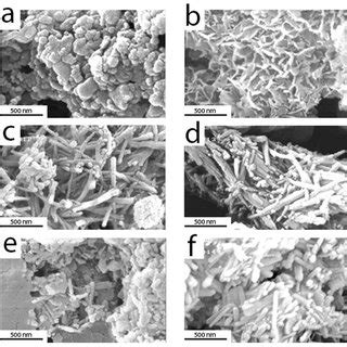 FE SEM Micrographs Of HA Powder Prepared By In Situ Solvothermal