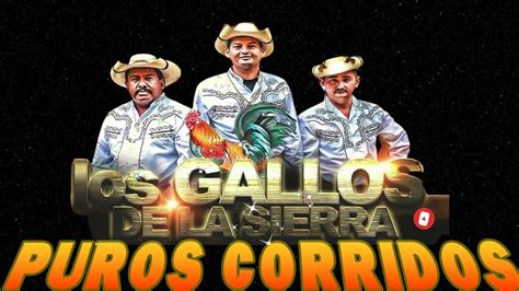 Los Gallos De La Sierra Corridos Y Rancheras Mix Para Pistear