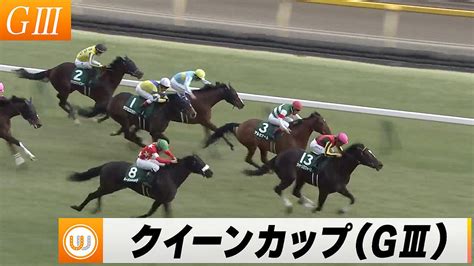 【2024】第59回デイリー杯クイーンカップ（giii） 中山競馬場11r ｜ウイニング競馬 2024年2月10日（土） ライブドアニュース