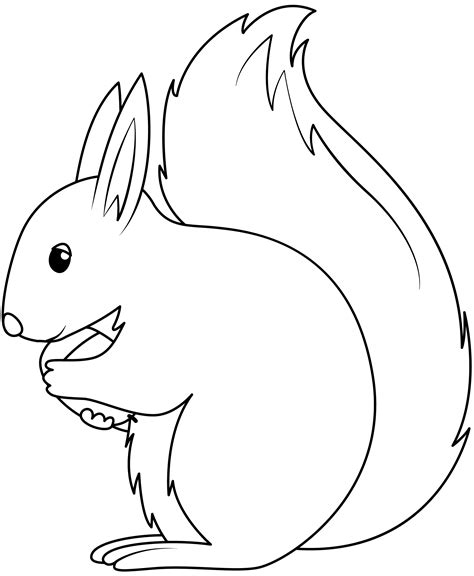 Squirrel Template Free Printable Free Printable