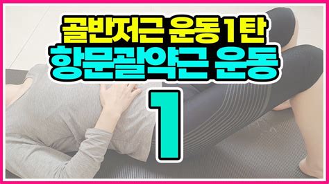 리샘 골반저근 강화운동 1탄 항문괄약근 운동 교정의 신 리샘tv Youtube