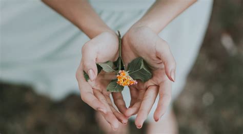 三种活动，三种结果：论掌握人性对活动运营的重要性 运营派