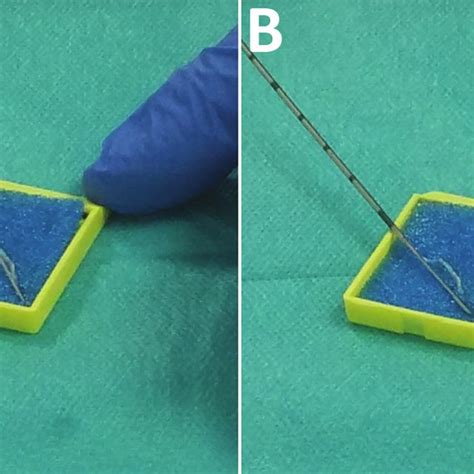 Application Of Biopsy Needle On Sponge Used During Transrectal Download Scientific Diagram