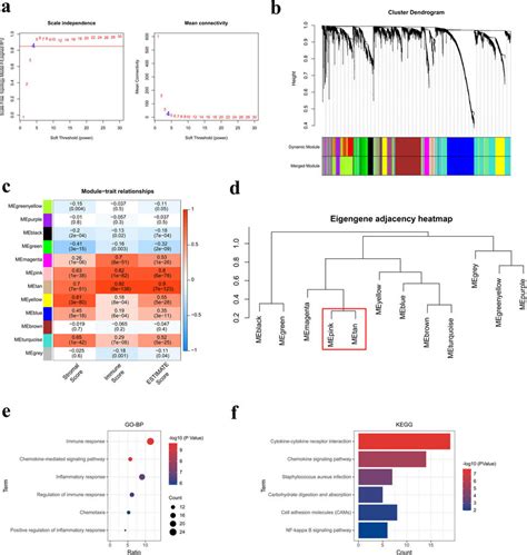 Selection Of Hub Model Genes A Selection Of The Soft Thresholding