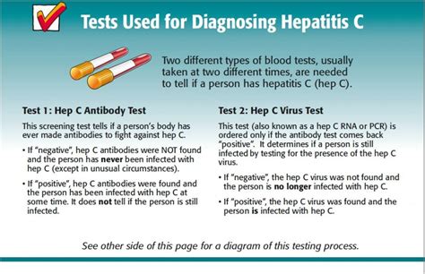 Basic Hepatitis C Facts English