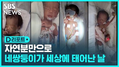 국내 최초 네쌍둥이 자연분만으로 탄생 Sbs D리포트 Youtube