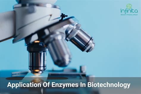 Top Application Of Enzymes In Biotechnology Infinita Biotech