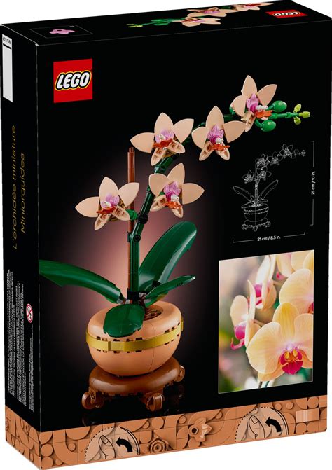 Lego Botanical Collection Ma A Orchidea Por Wnaj Ceny