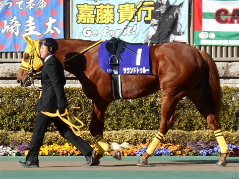 分かりやすいパドックでの勝負気配 競馬で生活する僕は