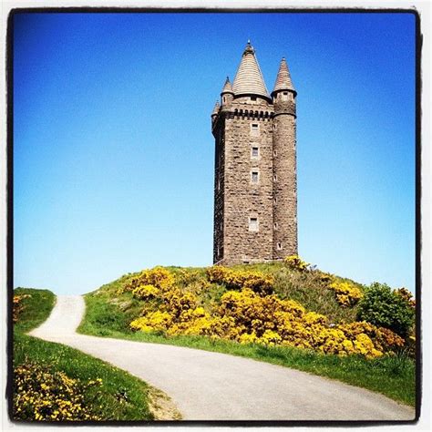 Scrabo Tower & Country Park | Country park, Visit northern ireland ...