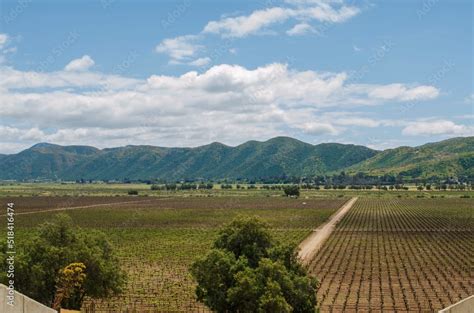 Hermoso Paisaje En Los Vi Edos De Santo Tom S En Valle De Guadalupe