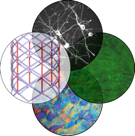 Lowering Barriers Of Entry To Design And Manufacturing Tools For Tissue