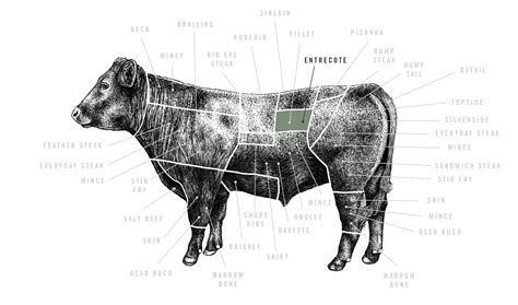steak comes from what animal 7