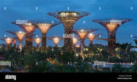 Gardens by the Bay Night View Stock Photo - Alamy