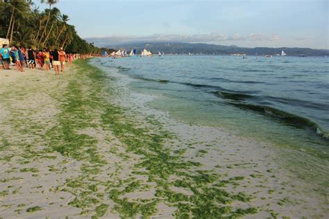 In Photos Boracay Islands Rehabilitation Process Over Past Months