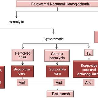 Treatment algorithm adopted from the German PNH guidelines ...