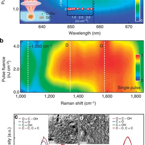 Vectorial Holographic Reconstruction Of Polarization Discernible