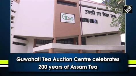 Assam Tea Guwahati Tea Auction Centre Celebrates 200 Years Of Assam Tea News Times Of India