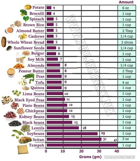 Printable Protein Content Of Foods Chart Printable List Of Protein Foods