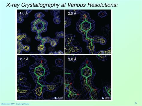 Ppt Exploring Proteins Powerpoint Presentation Free Download Id545083