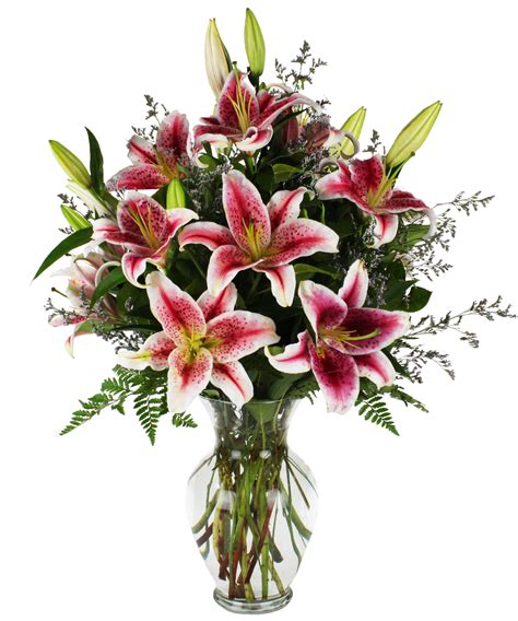 Enchanting Stargazer Lilies - Deluxe -As Shown | Stargazer lily, Stargazer lily bouquet, Stargazing