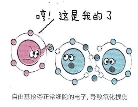 氢 清除自由基，抗氧化，发挥医学效应 ！ 知乎