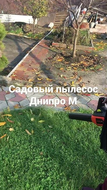 Садовый пылесос, ветродуйка Днипро М - YouTube