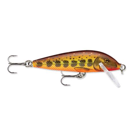 Rapala Countdown Minnow 05 Fishing Lure 2 3 16oz Hot Mustard Muddler