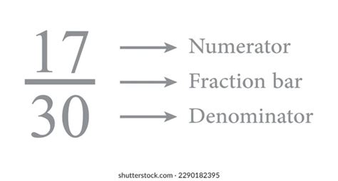 Parts Fraction Number Mathematics Numerator Denominator Stock Vector (Royalty Free) 2290182395 ...