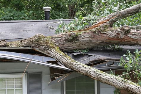 Does Homeowners Insurance Cover Wind Damage