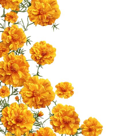 Yellow Marigold Floral Side Arrangement, Marigoldside, Yellowflowers