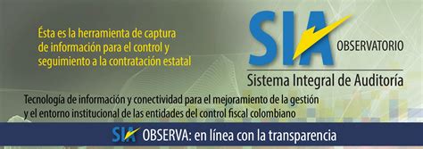 Sia Observación Control Interno Para Tu éxito Empresarial Auditoría Group