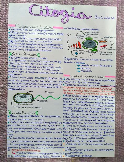 Citologia Organelas Resumo Biologia Citologia Mapa Mental Images