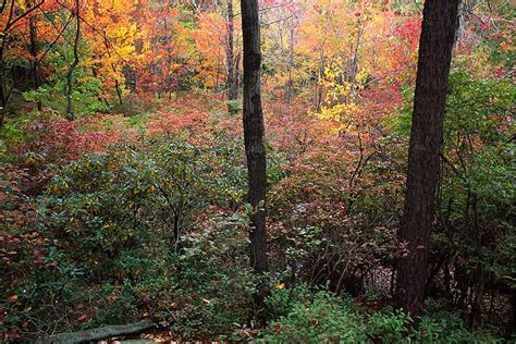 Fall on Bear Mountain | Bear Mountain State Park, NY | Thomas Mangan Photography - The Rocky Gallery