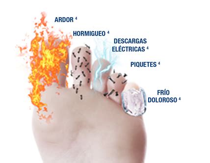 Fisiopatología De La Neuropatía Diabética