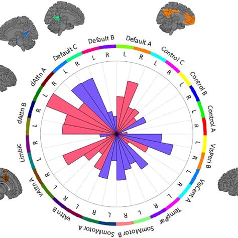 Cortical Network Profile For Basic Model Pattern Energy In