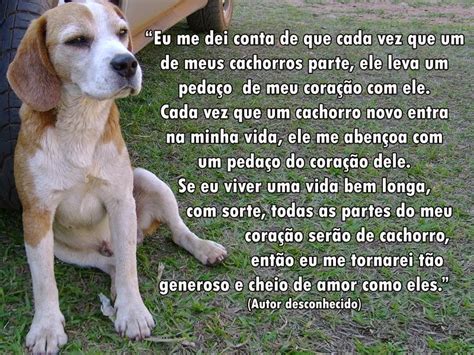 Mensagem De Cachorro Que Morreu