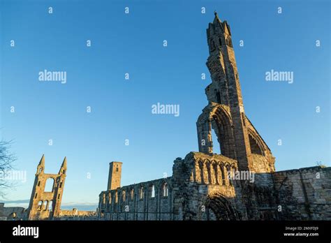 St Andrews Cathedral Stock Photo - Alamy