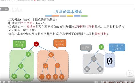 数据结构 二叉树 CSDN博客