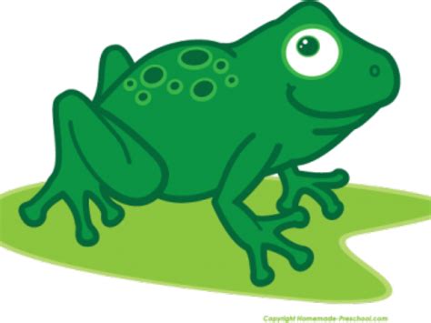 Download Transparent Frog Clipart - Drawing - ClipartKey