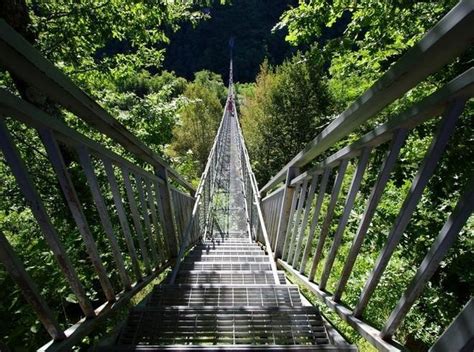 Si Uccide Gettandosi Dal Ponte Sospeso Il Tirreno